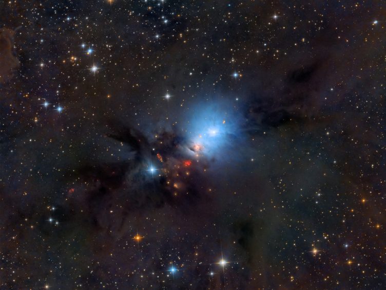 Nebula in the region of Perseu molecular cloud