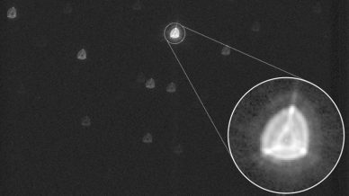 Primeira imagem obtida pelo telescópio espacial CHEOPS