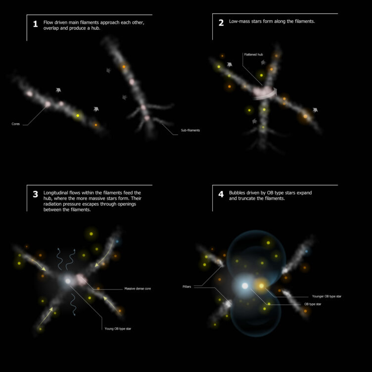 Massive stars' formation paradigm