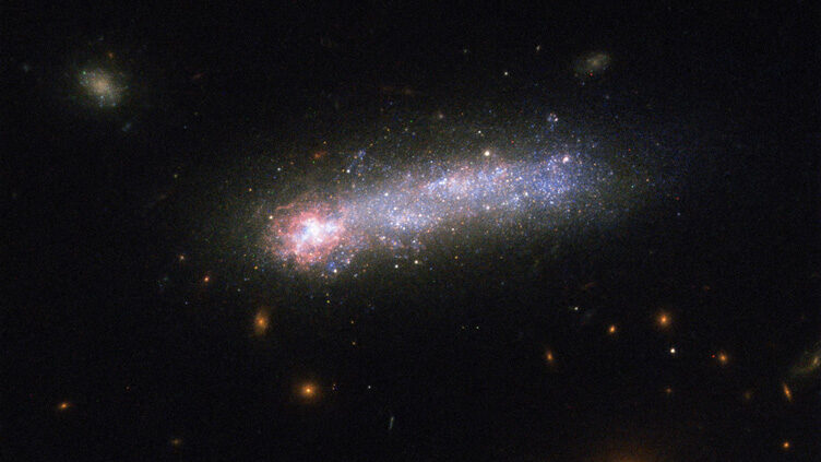 Galáxia anã de tipo cometário, ou em forma de “girino”, KISO 5639.