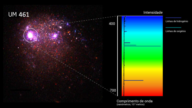 Espectro óptico da região de hidrogénio ionizado (HII) mais luminosa da galáxia anã azul compacta UM 461.