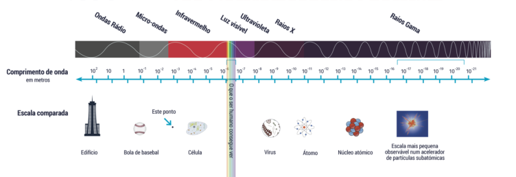 Espectro da radiação eletromagnética, com comparação da escala dos comprimentos de onda.
