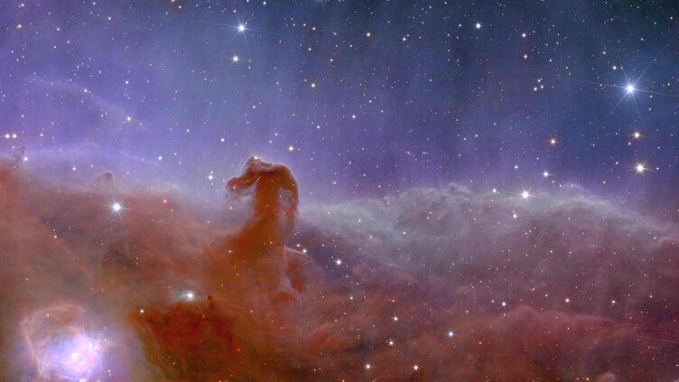 A famosa Nebulosa Cabeça de Cavalo – numa imagem obtida com o telescópio espacial Euclid
